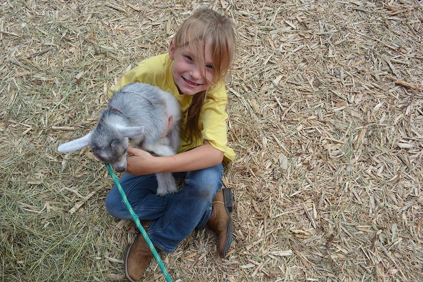 Child hugging a gray rabbit on a blue leash outdoors on straw-covered ground