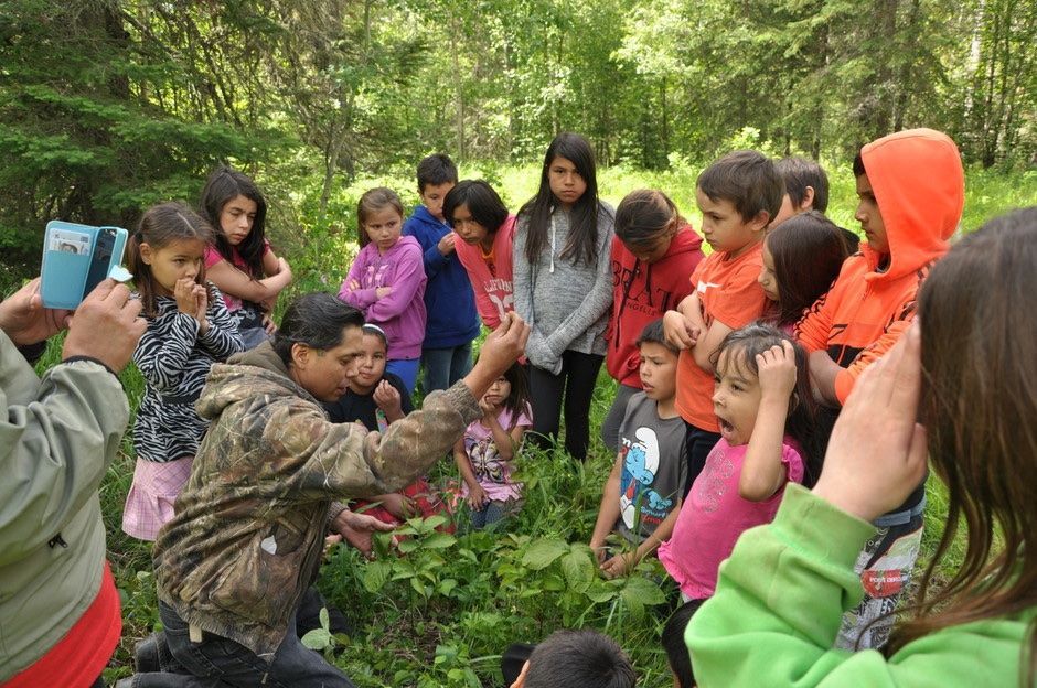 Group of children gathered outdoors around a crouching person in camouflage, observing plants in a wooded area
