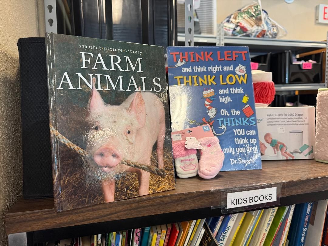 Farm Animals book and “Think Left, Think Low” poster on a store shelf with a pig figurine and pink shoes