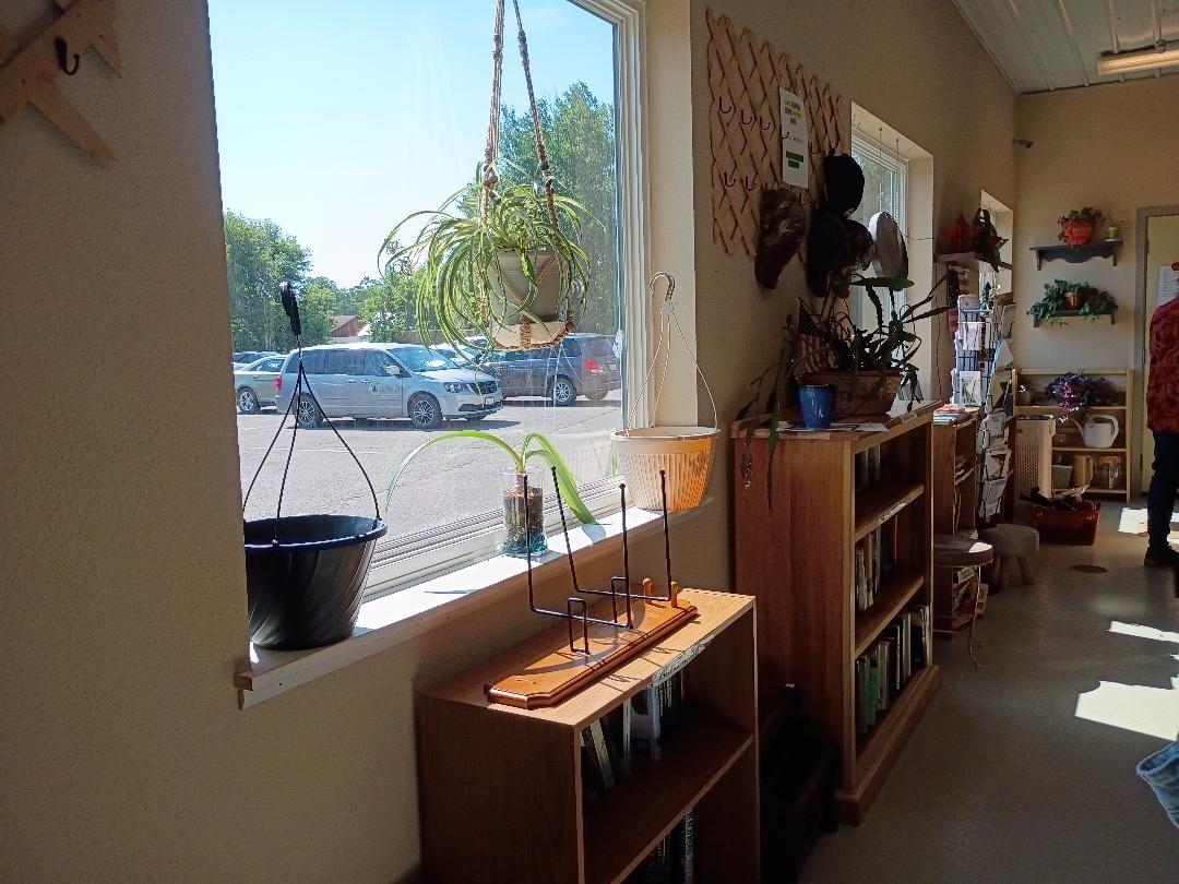 Sunlit living room with a window, wooden shelves, plants, and parked cars outside