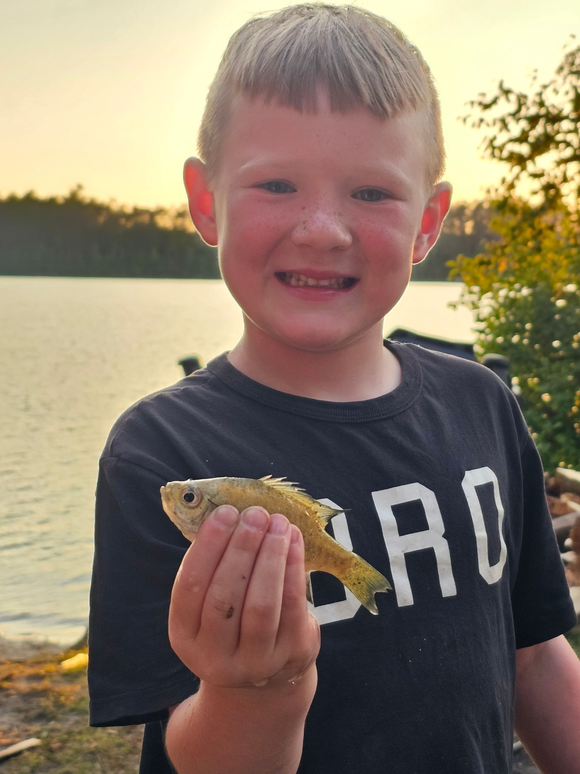 Smiling child holding a fish by a lake at sunset, wearing a dark T-shirt