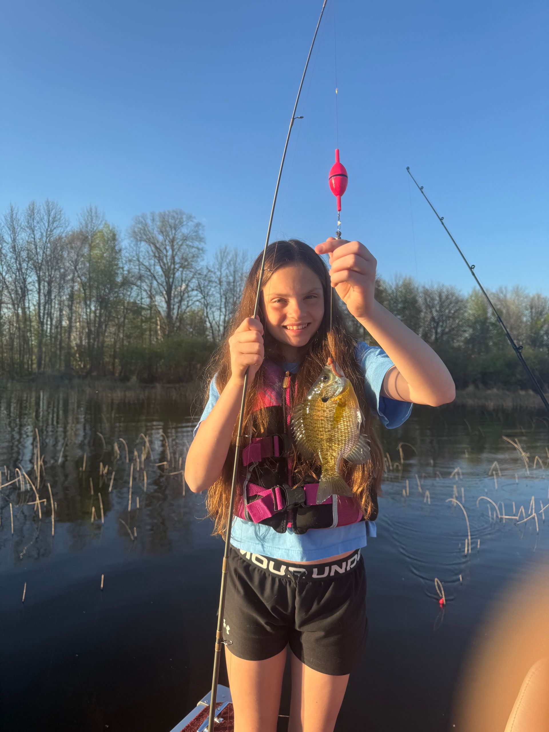 Bluegill Fish caught on Island Lake in Cromwell