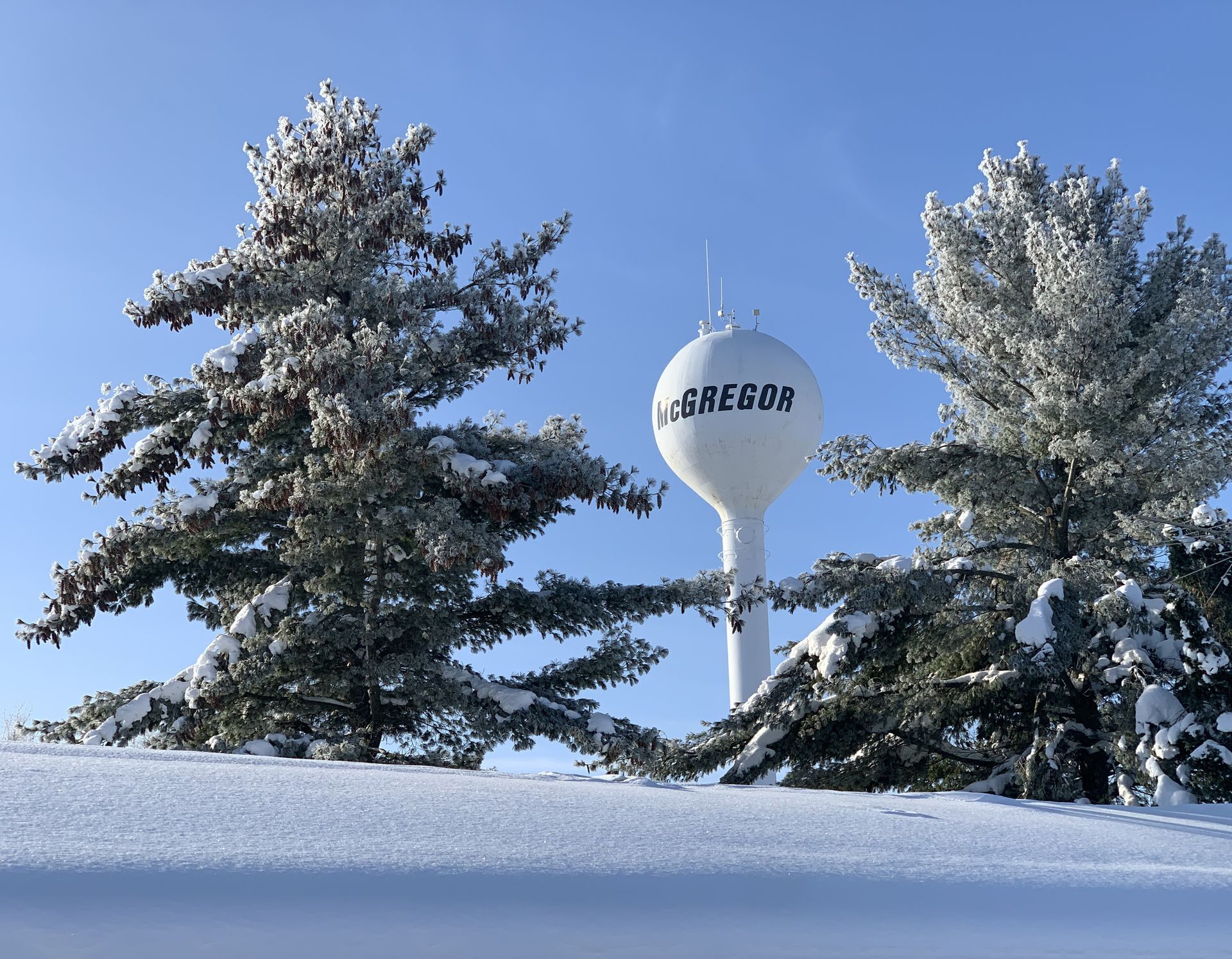Snowy trees and a water tower under a clear blue sky after snowfall