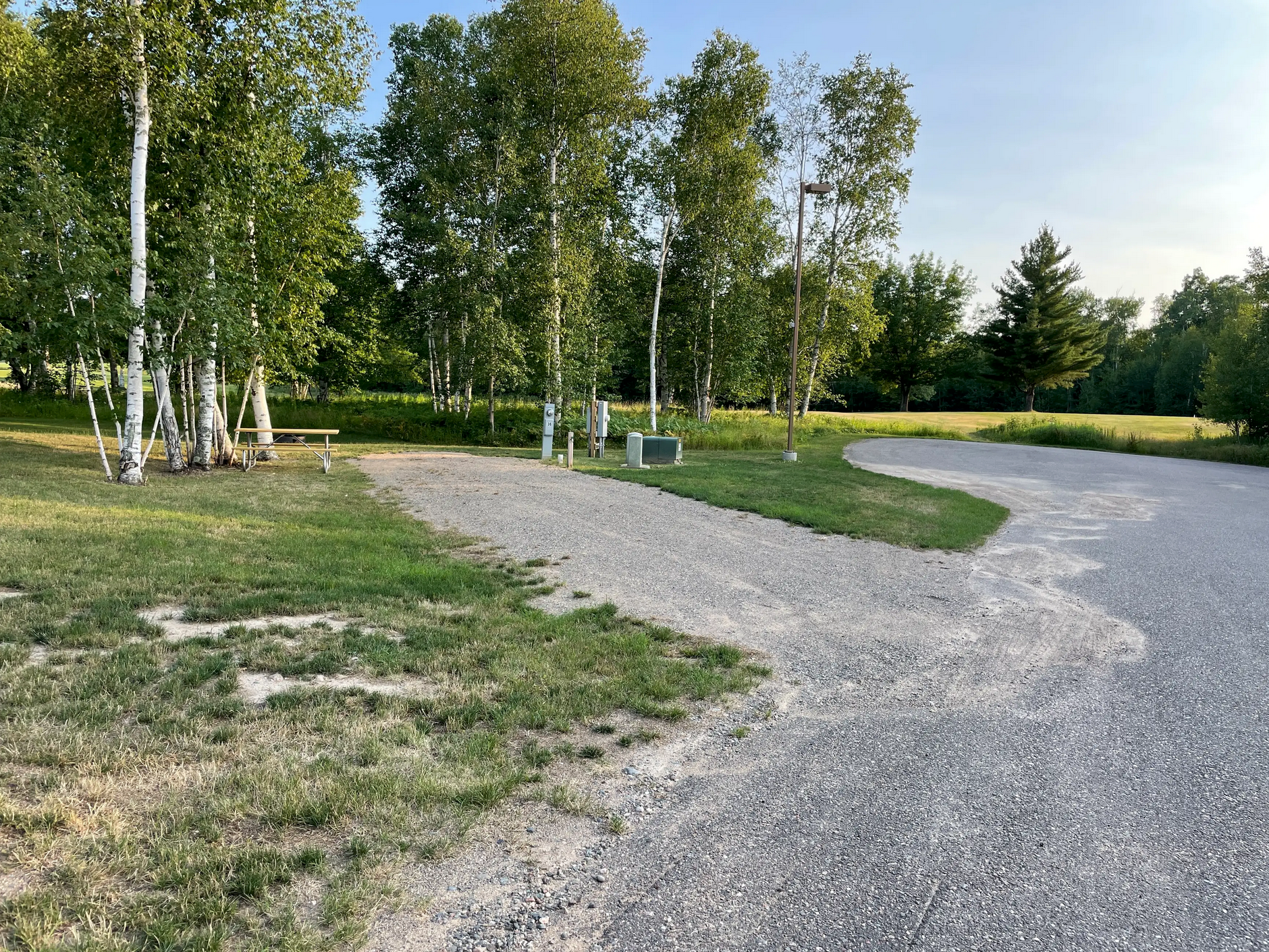 Gravel path winding through a green park with birch trees and a bench in warm sunlight