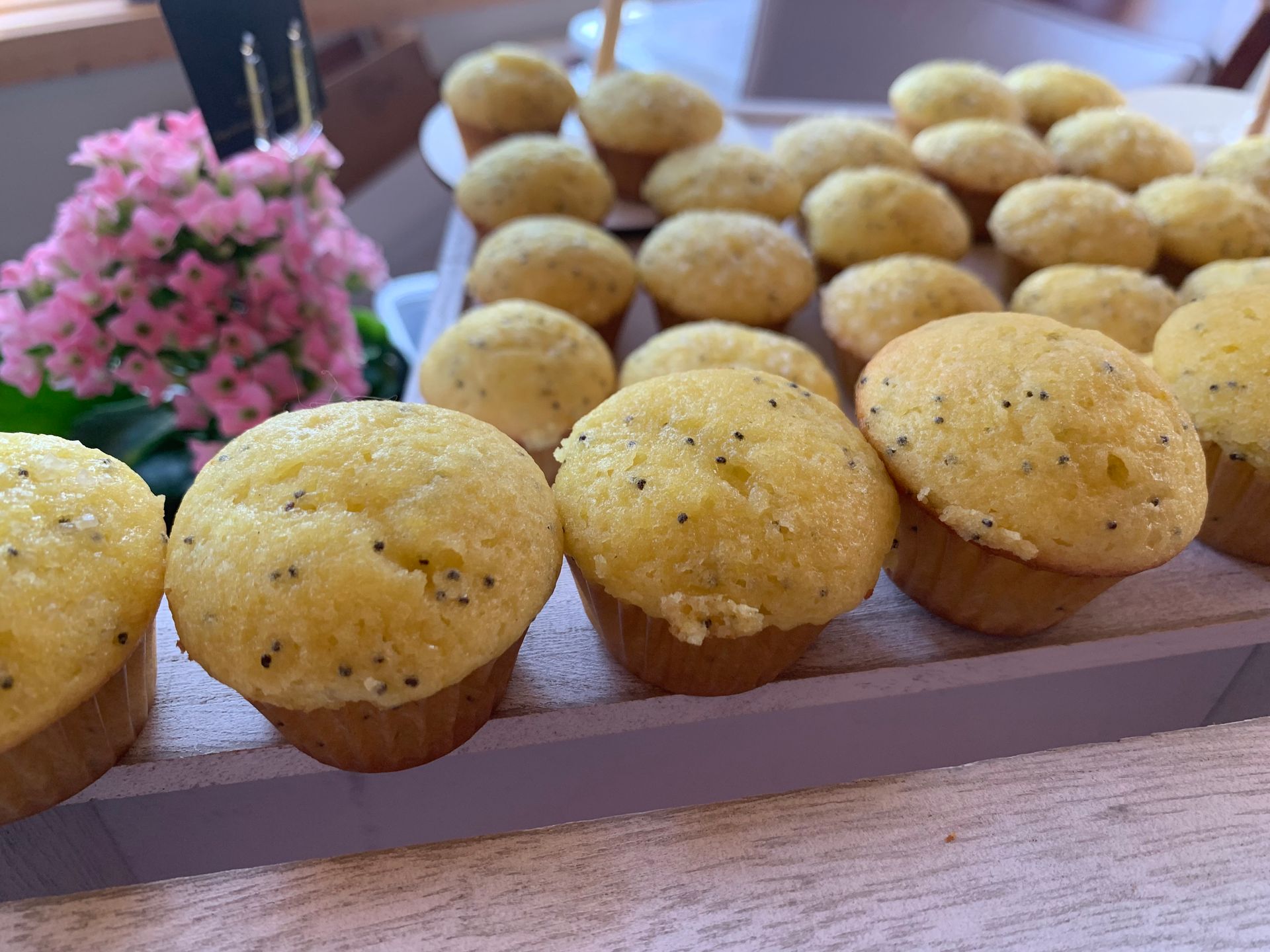 Tray of golden muffins with a pink flower arrangement in the background