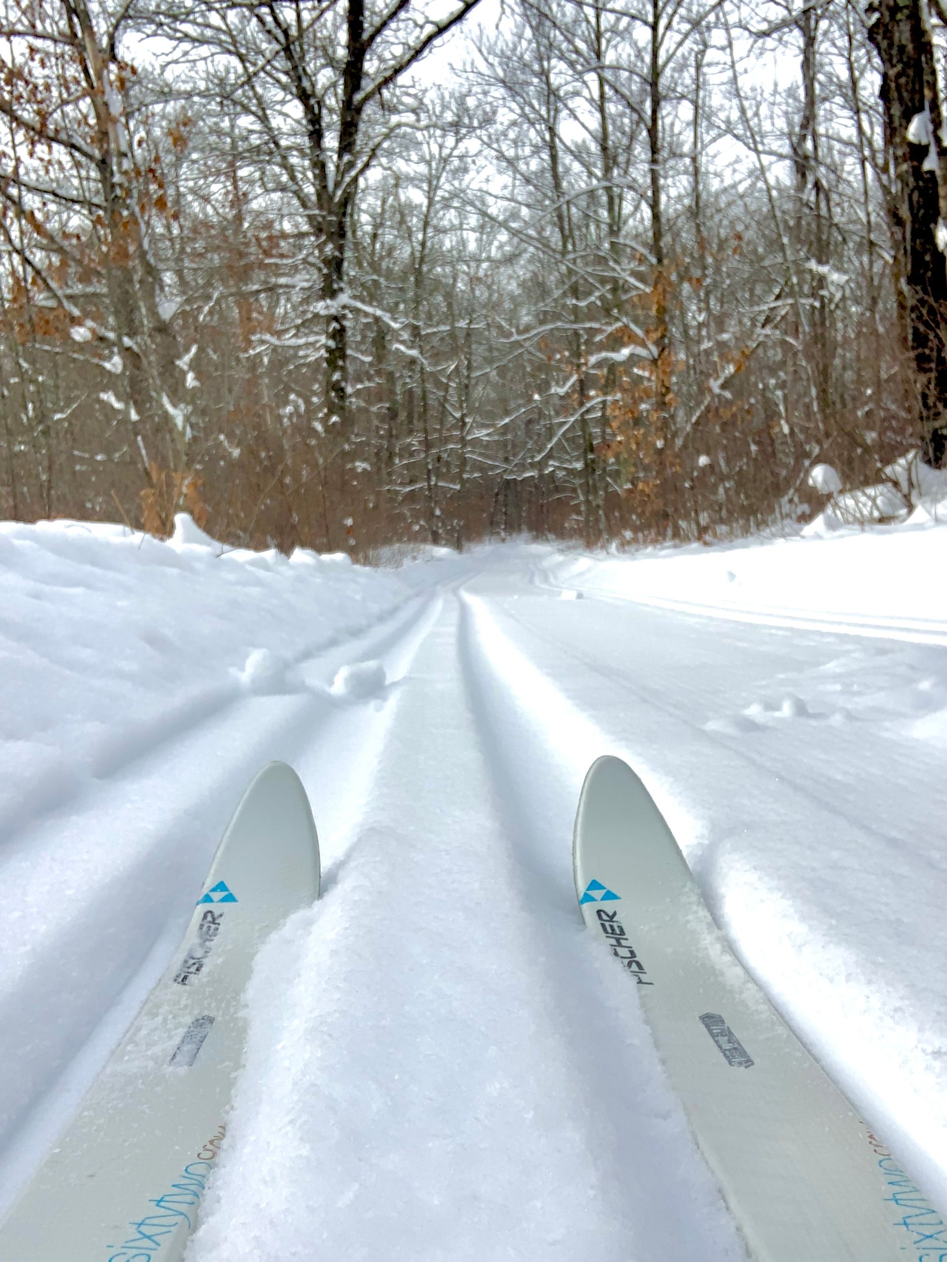 Cross-country skis gliding along a snowy forest trail in winter
