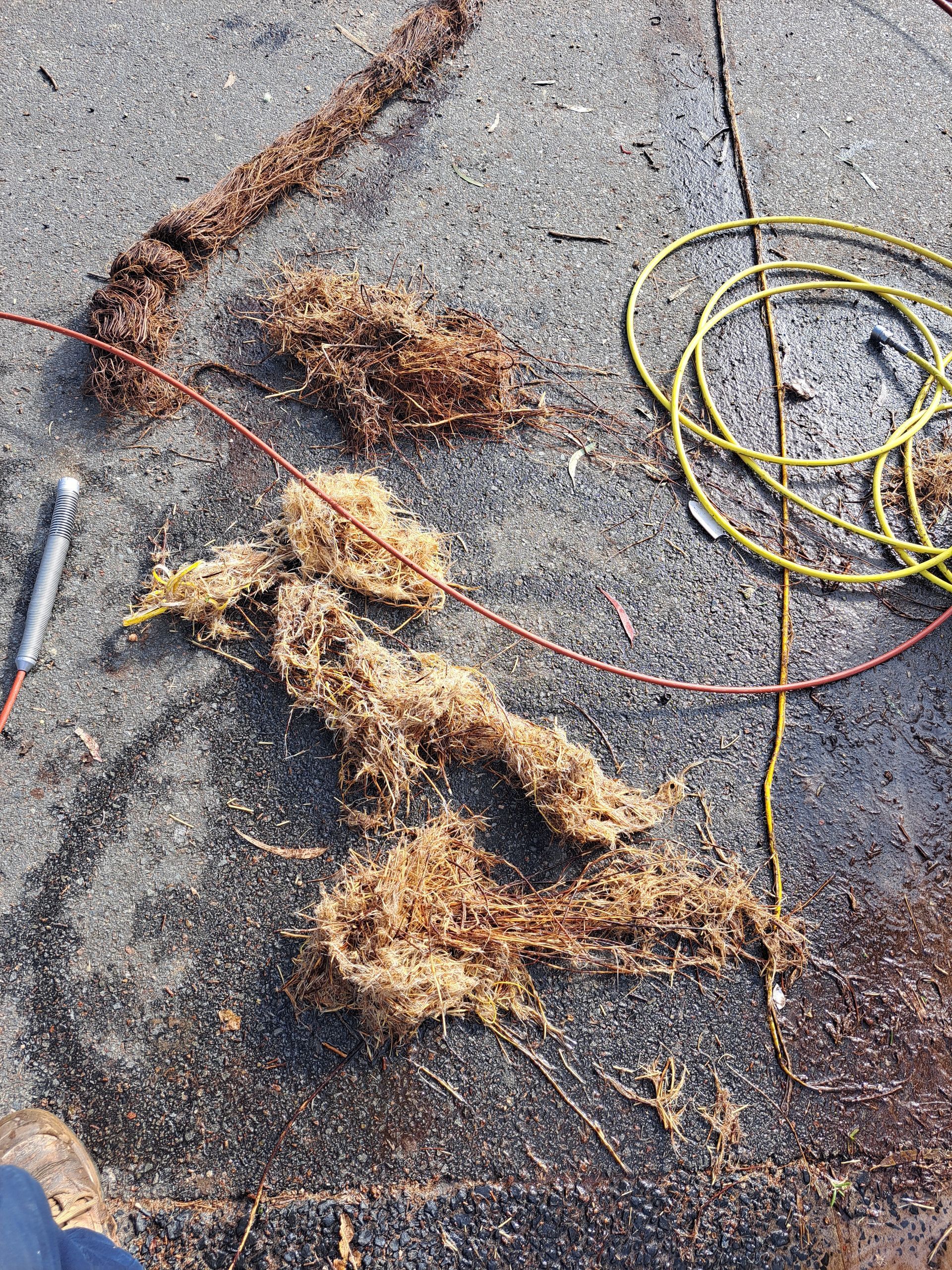 blocked drain — All About Quality Plumbing Services In Halekulani, NSW