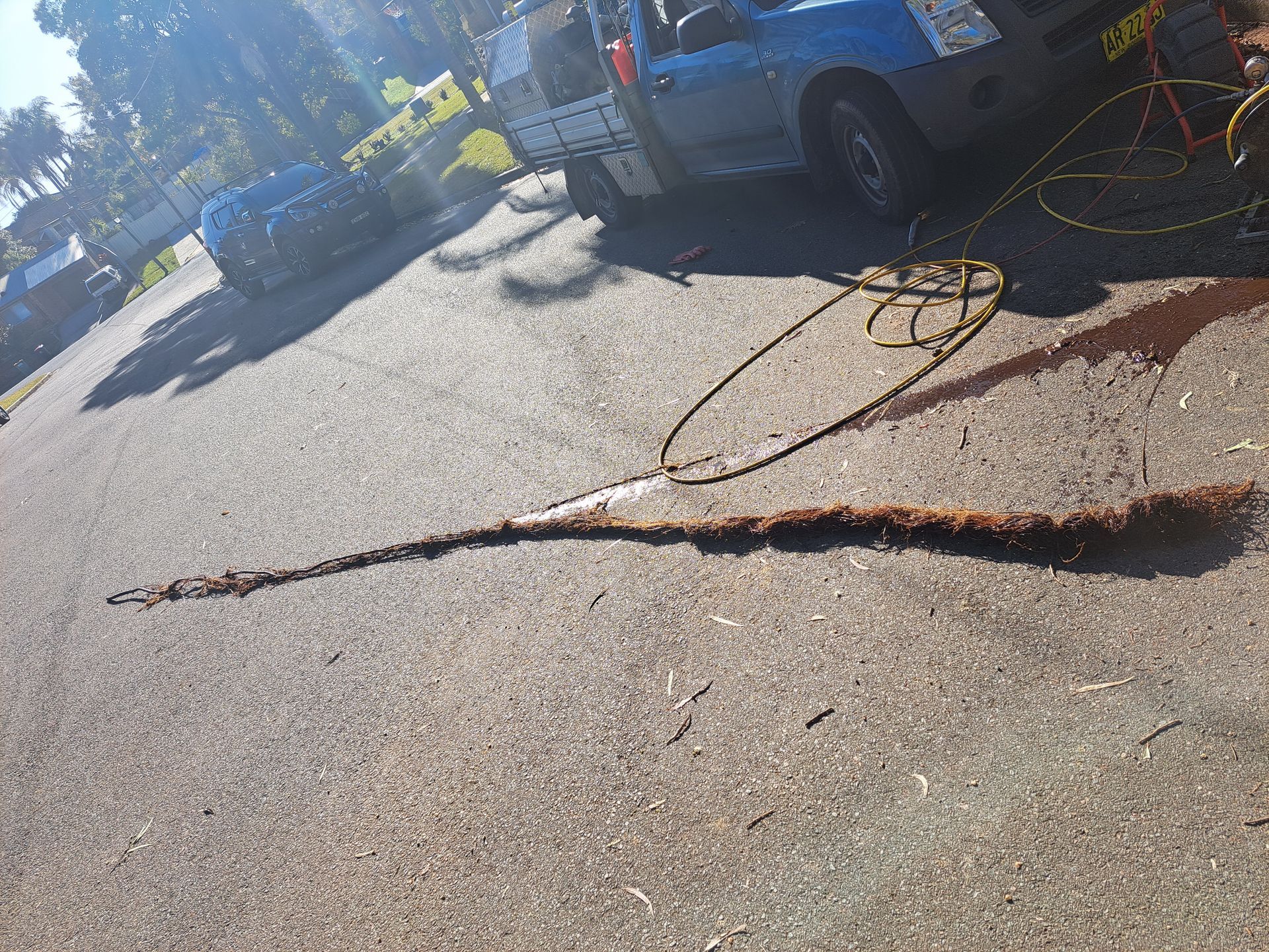 Blocked drain outside a residence— All About Quality Plumbing Services In Halekulani, NSW
