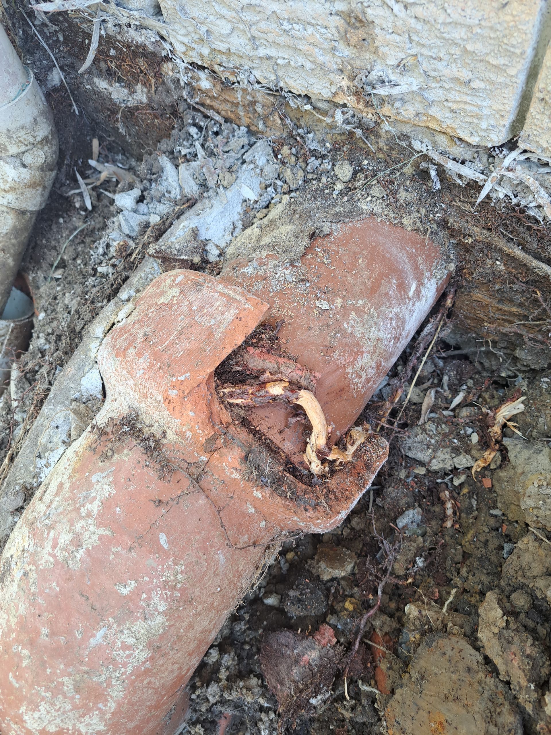 Sewer repair in a residence — All About Quality Plumbing Services In Halekulani, NSW