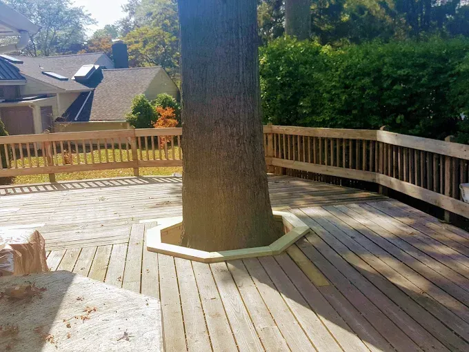 A wooden deck with a tree in the middle of it.