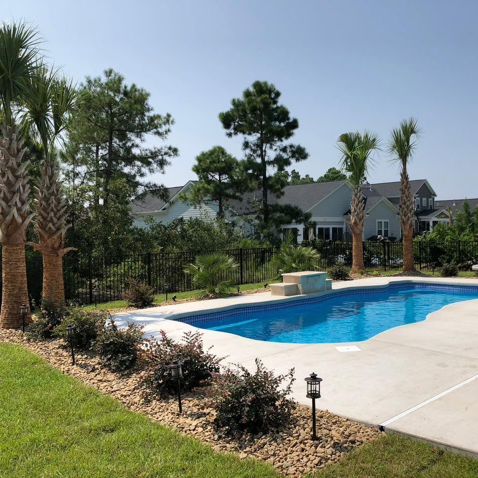 Backyard swimming pool beside a patio, lawn, and palm trees with houses in the background