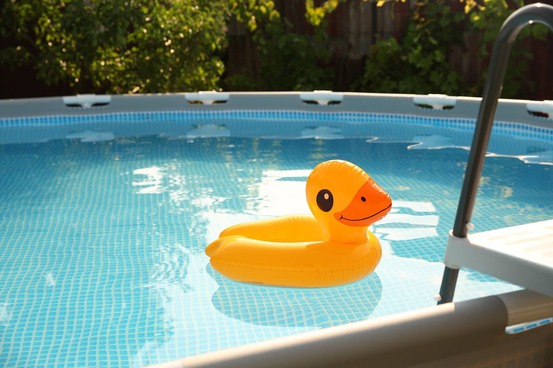 Yellow rubber duck floating in a blue swimming pool near a metal ladder