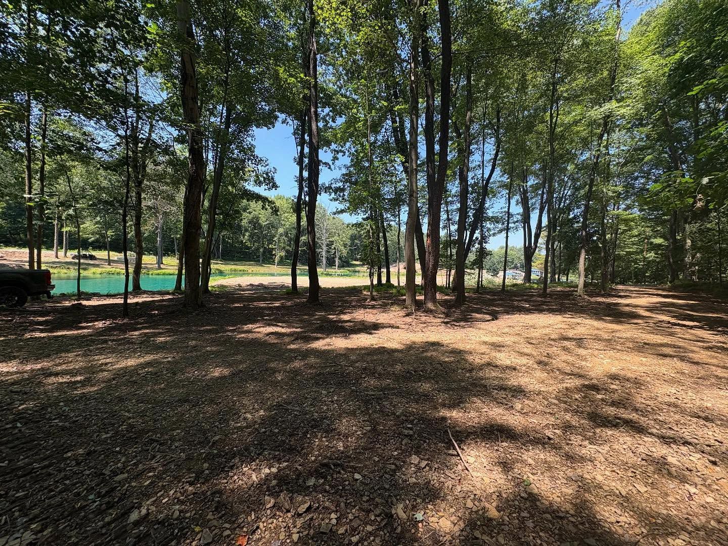 Wooded park with tall trees, sunlit dirt clearing, and a green fence on the left