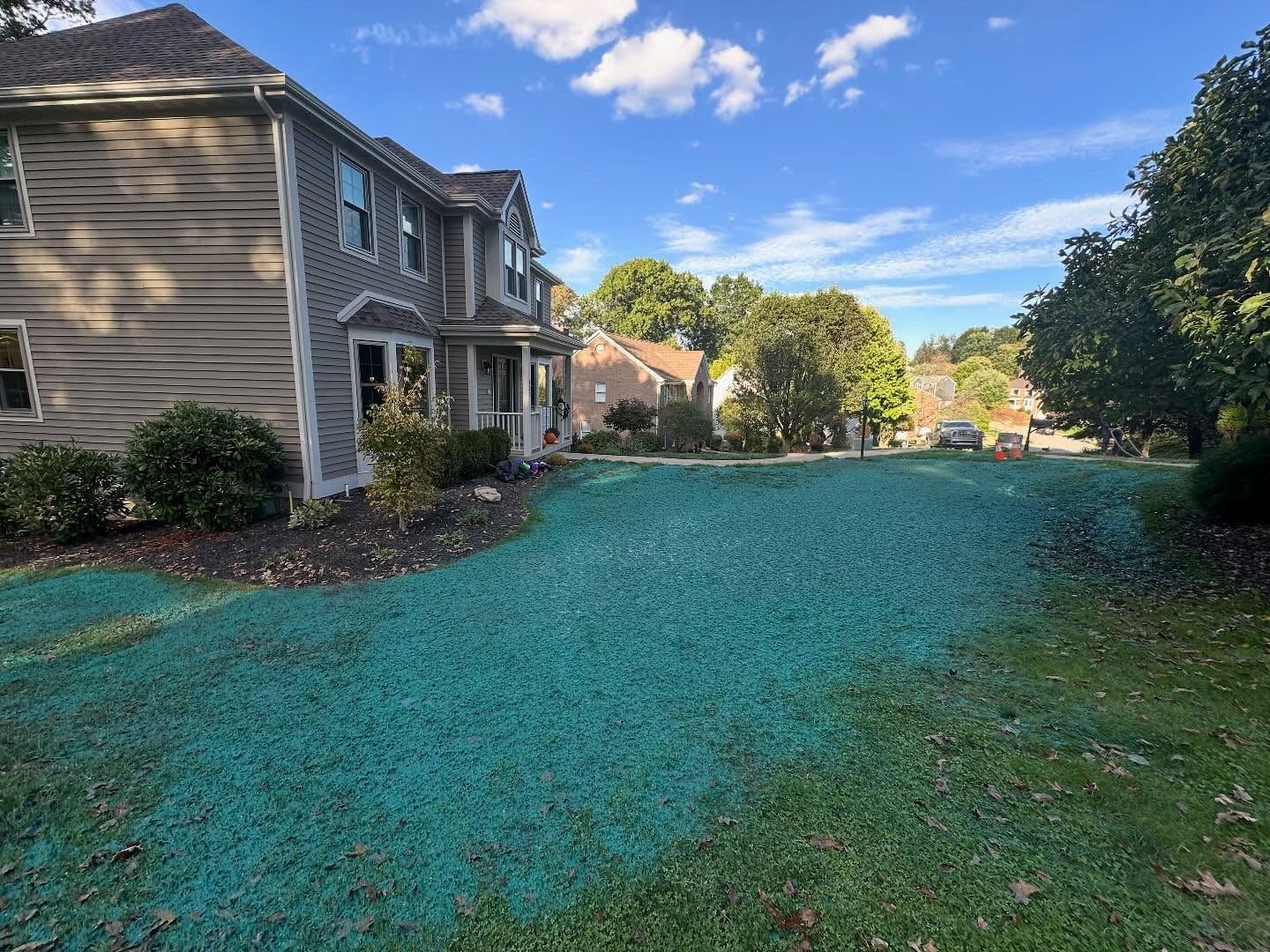 Apartment building beside a lawn covered in teal-colored groundcover under a blue sky
