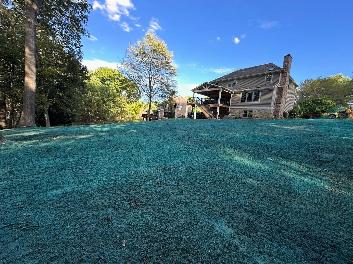 House with stone patio and trees beyond a blue-green grassy slope under a bright sky