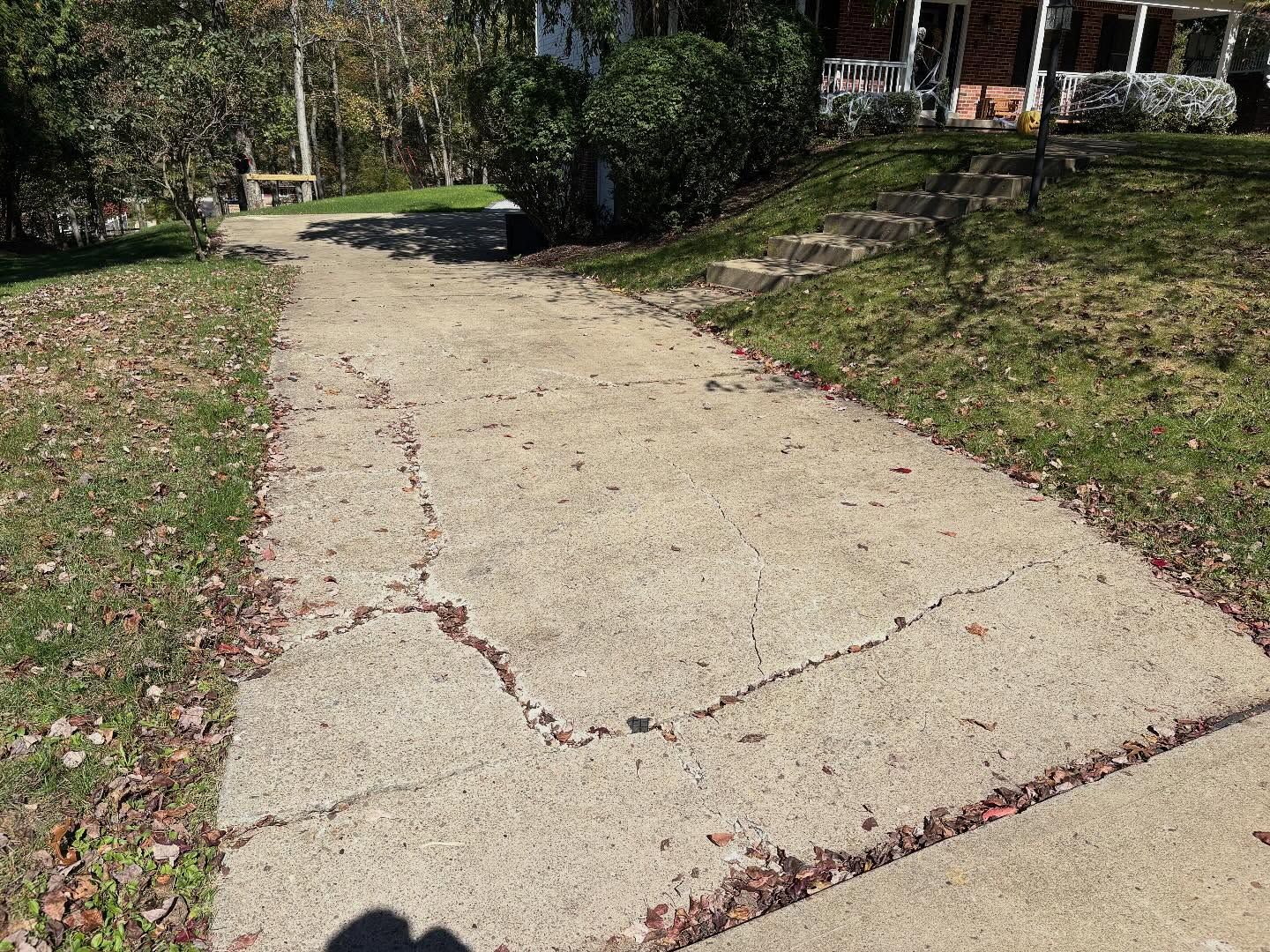 Cracked concrete walkway leading through a leafy yard toward a house