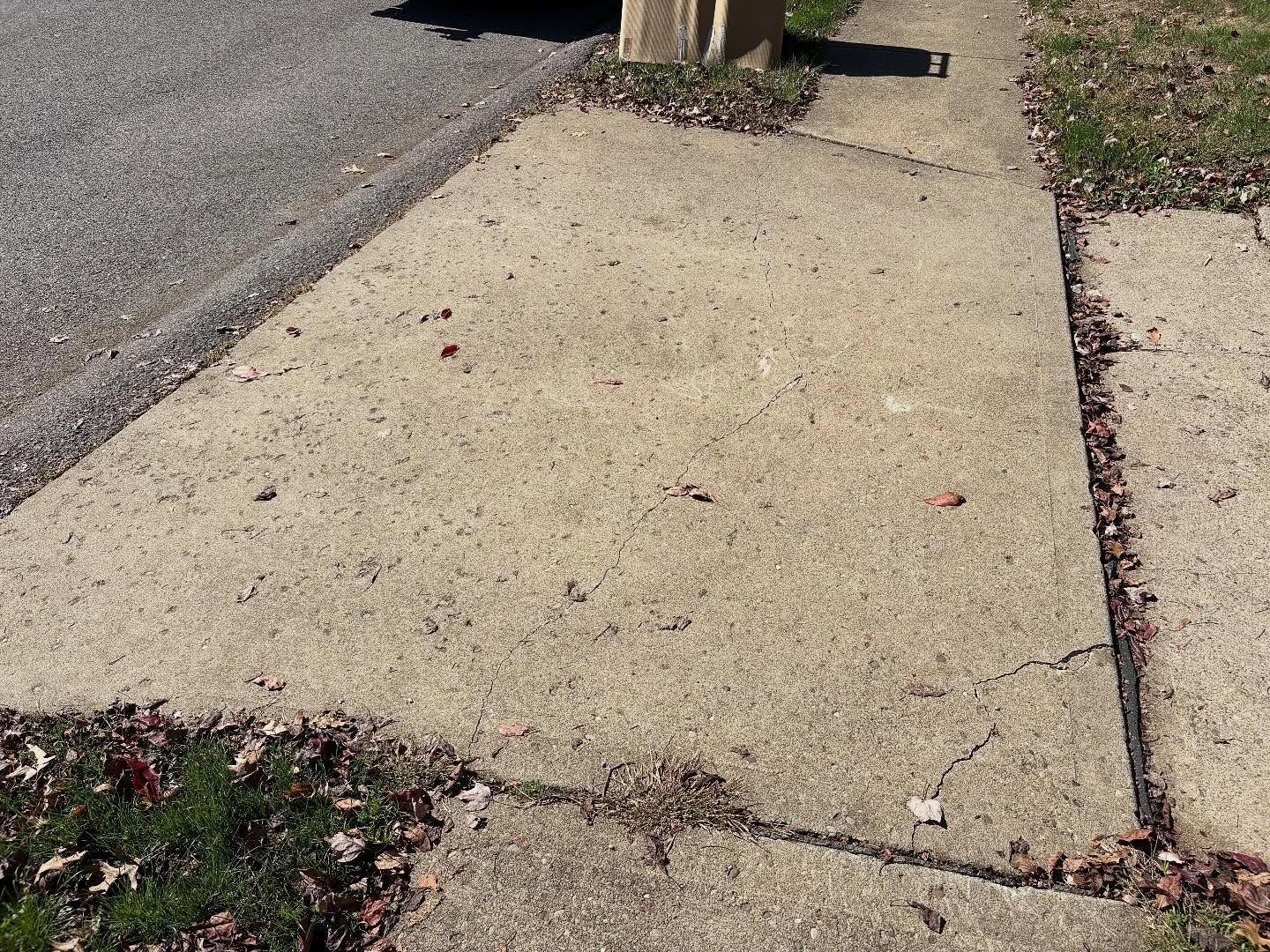 Cracked concrete sidewalk ramp beside a street, with weeds along the edges.