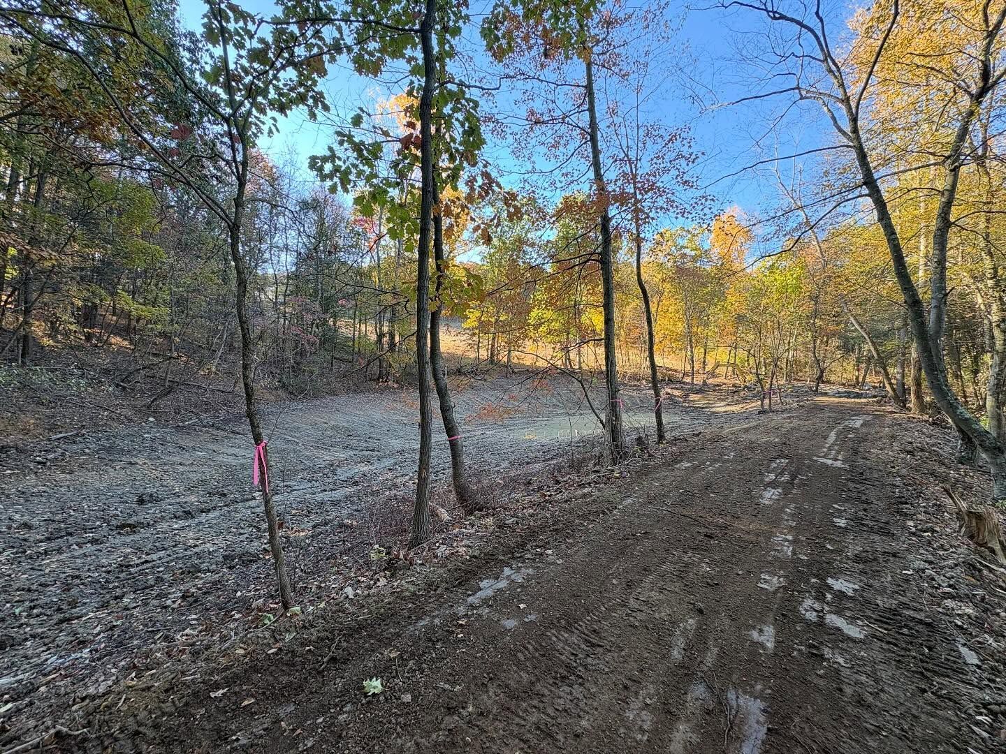 Dirt trail through a leafless forest with autumn sunlight and blue sky