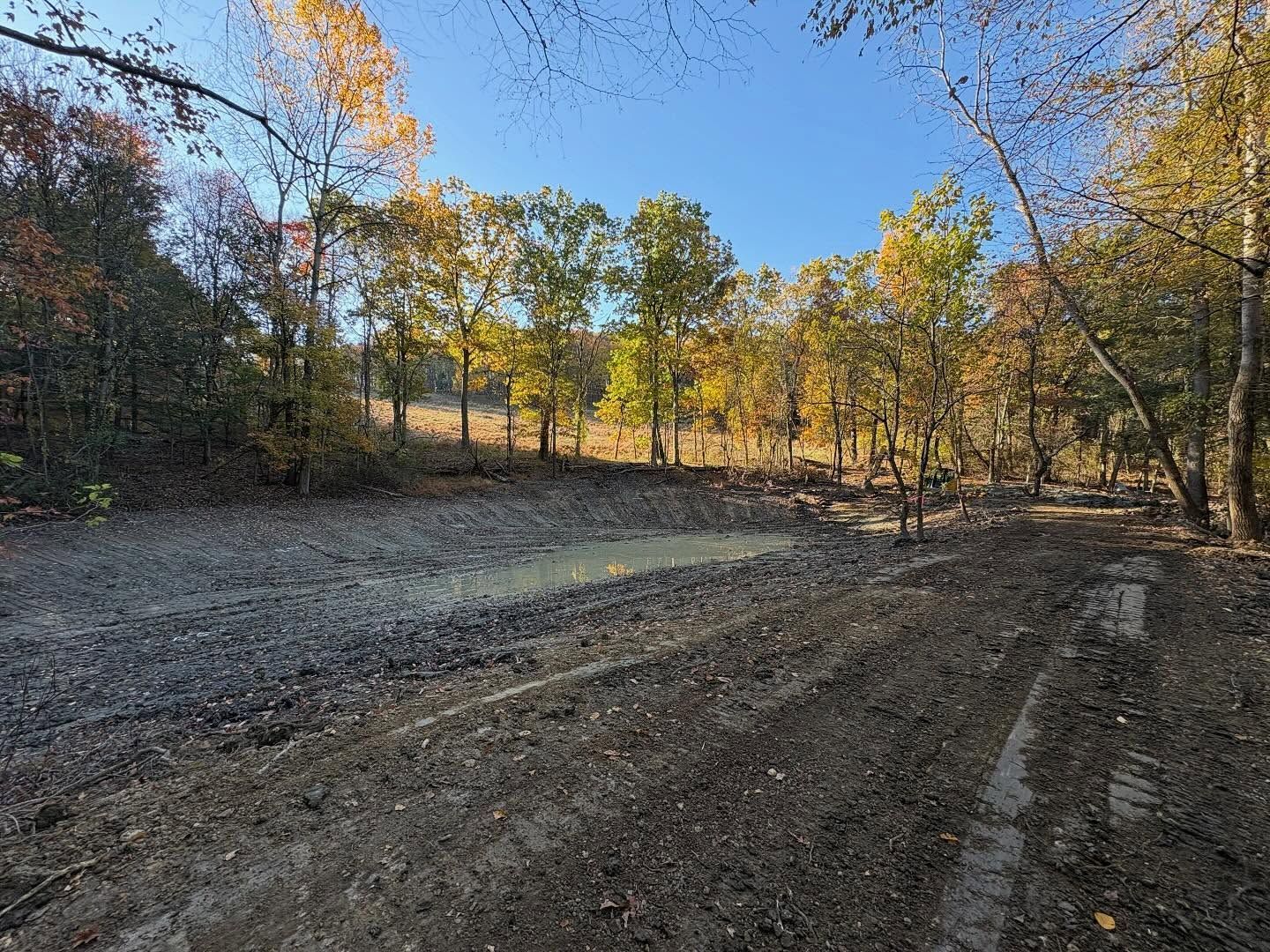 Rural dirt road curving through autumn trees under a clear blue sky