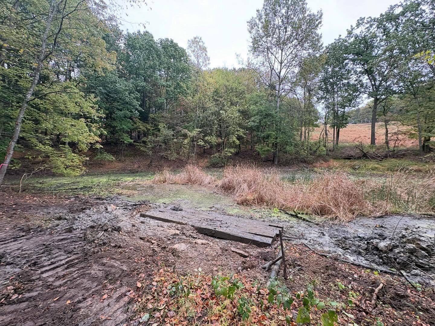 Wooded clearing with muddy ground, fallen logs, and dense green trees under an overcast sky