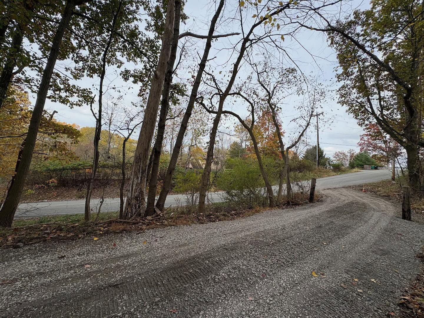 Gravel road curving through leafless trees in a quiet wooded area under a cloudy sky