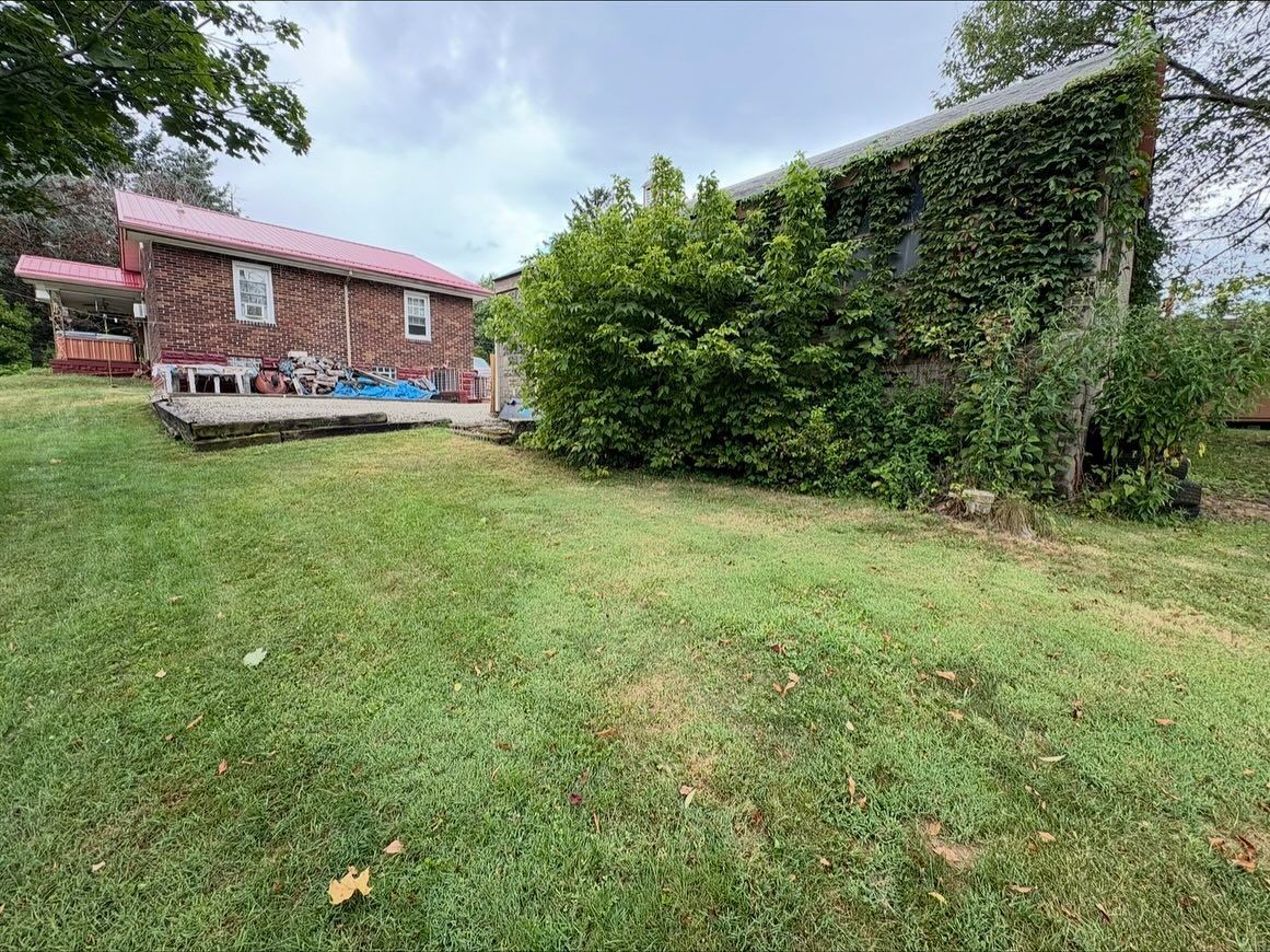 Backyard with green lawn, brick house, and tall hedge under a cloudy sky