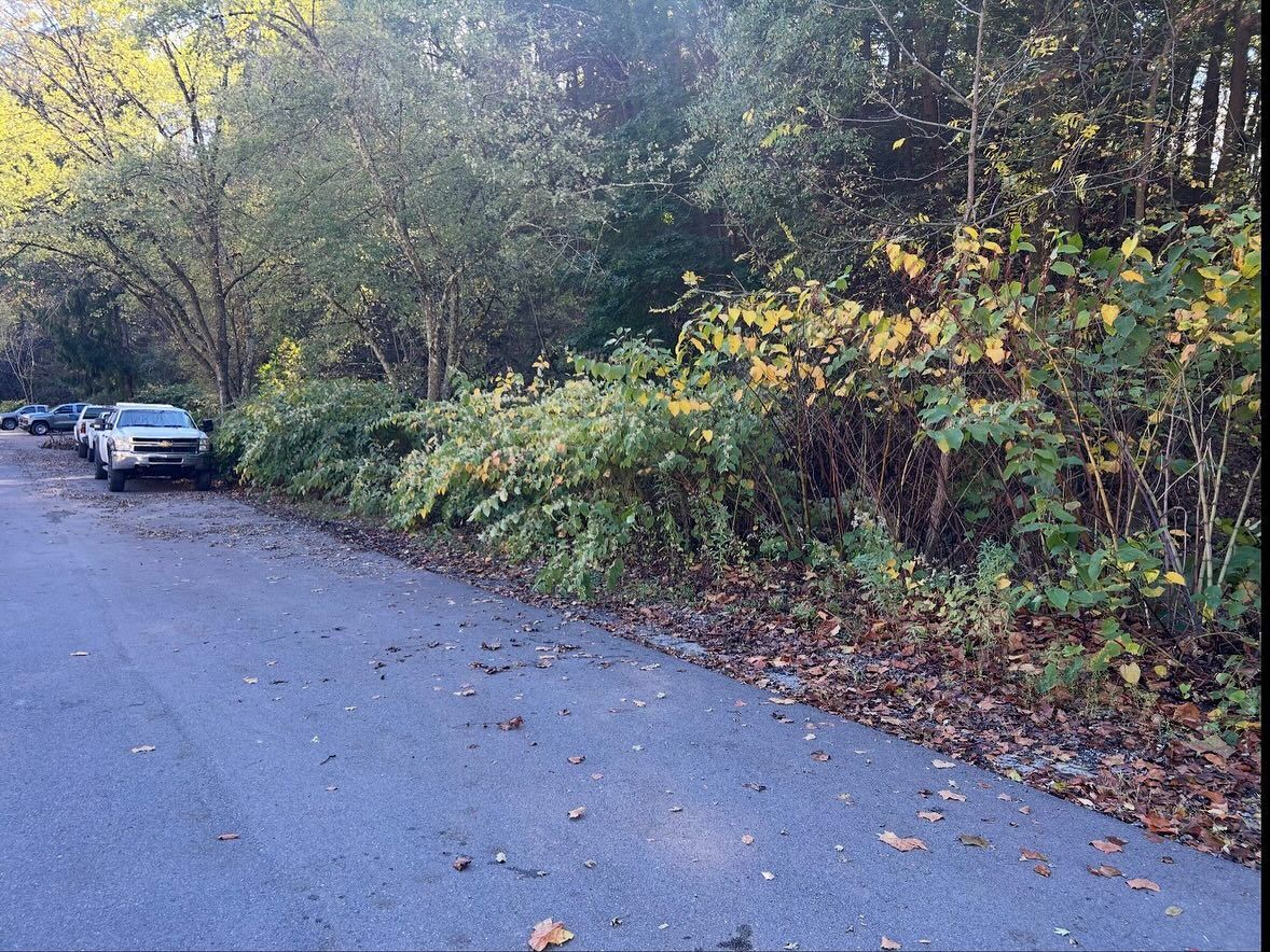 Parked car beside a quiet wooded roadside in autumn.