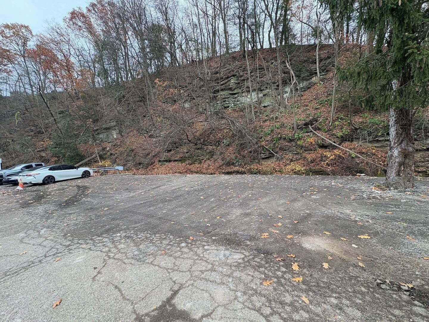 Leaf-covered roadside embankment with a parked white car and cracked gravel lot