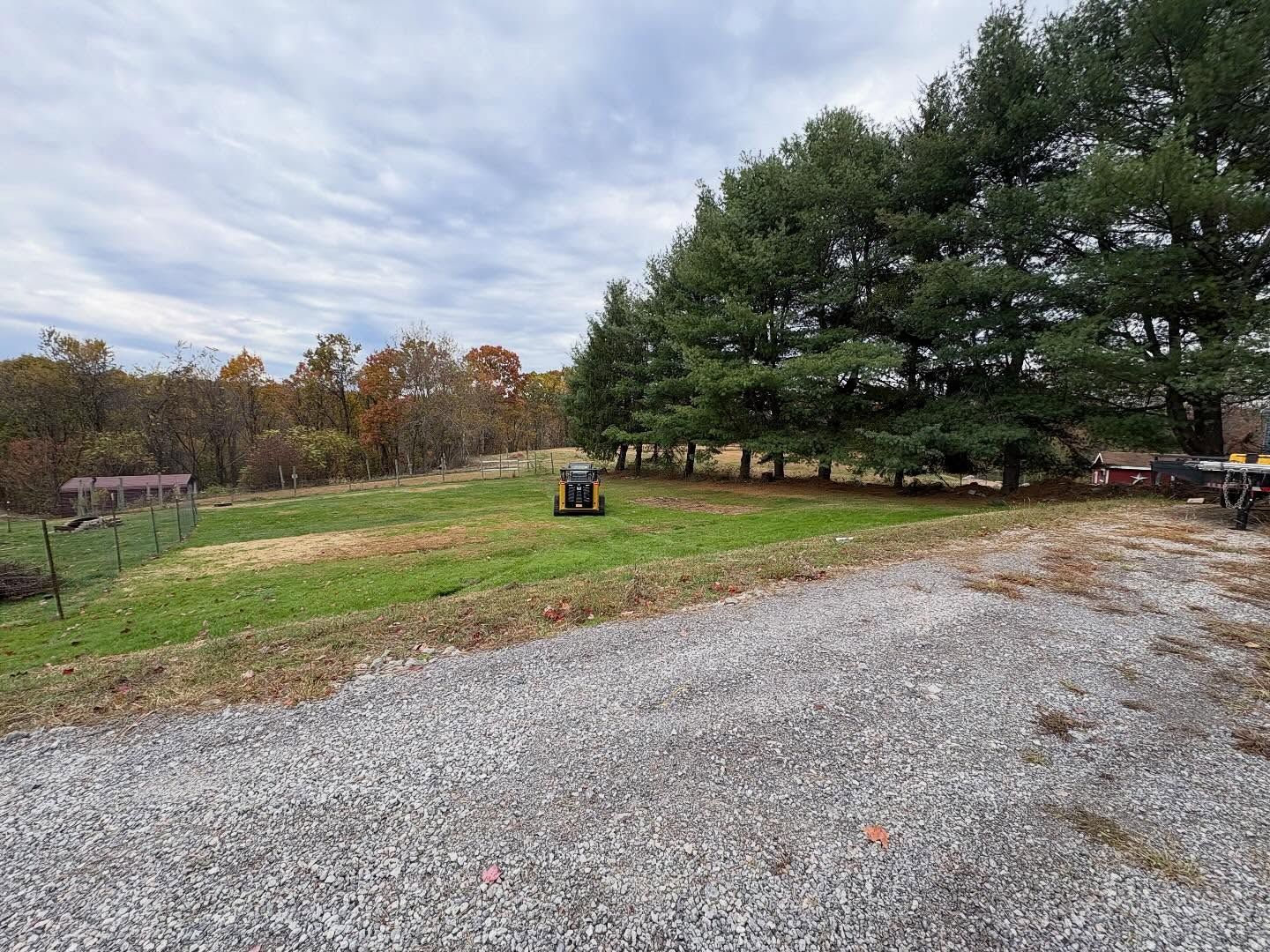 Gravel driveway beside grassy yard with large evergreen tree under a cloudy sky