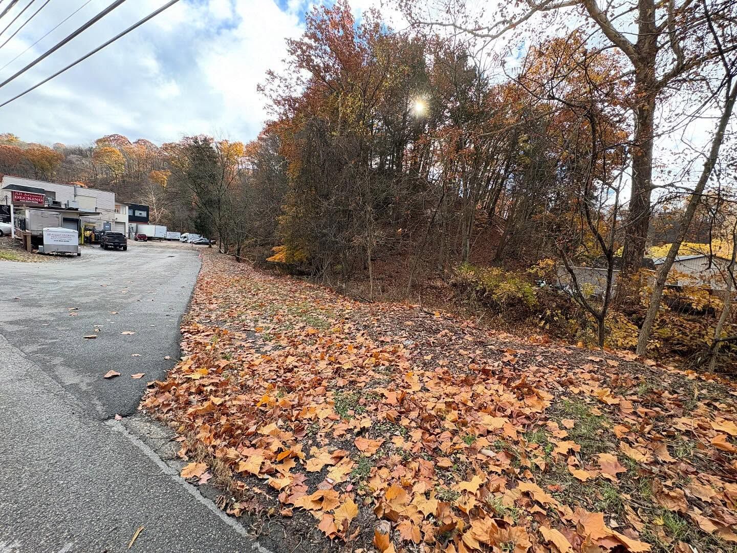 Leaf-covered roadside beside parked trucks and a wooded area in autumn.