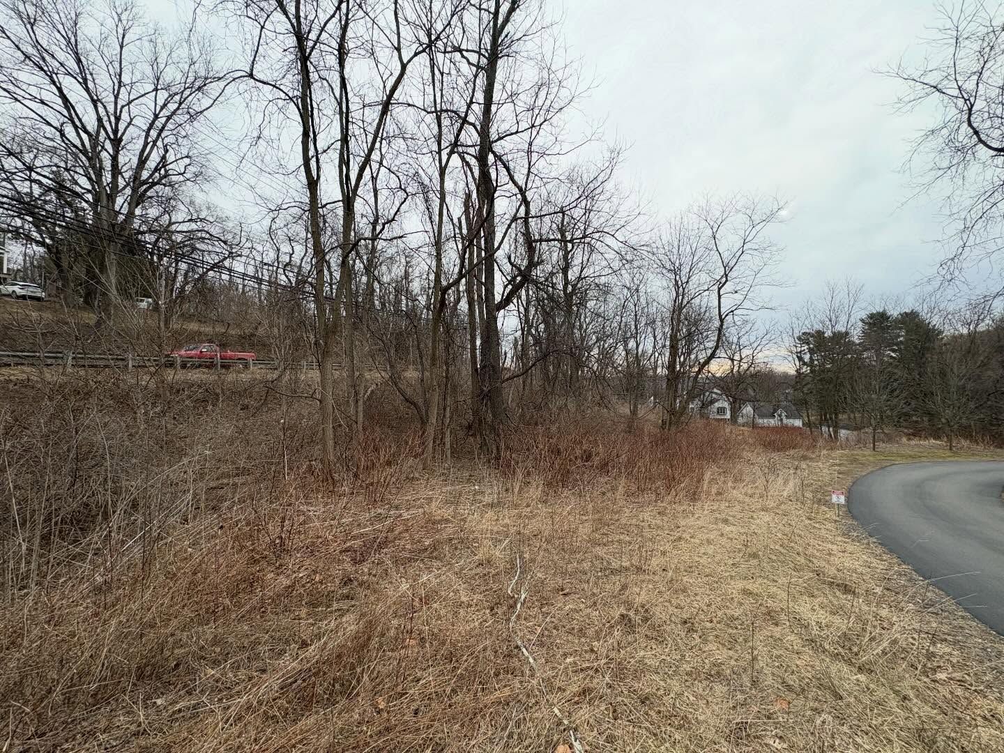 Curving road beside dry grass and bare trees on a cloudy day