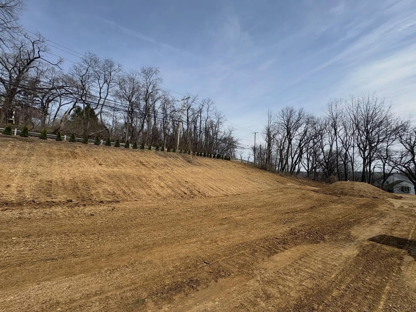 Grassy dirt hillside with bare trees under a blue sky, viewed from a path or road