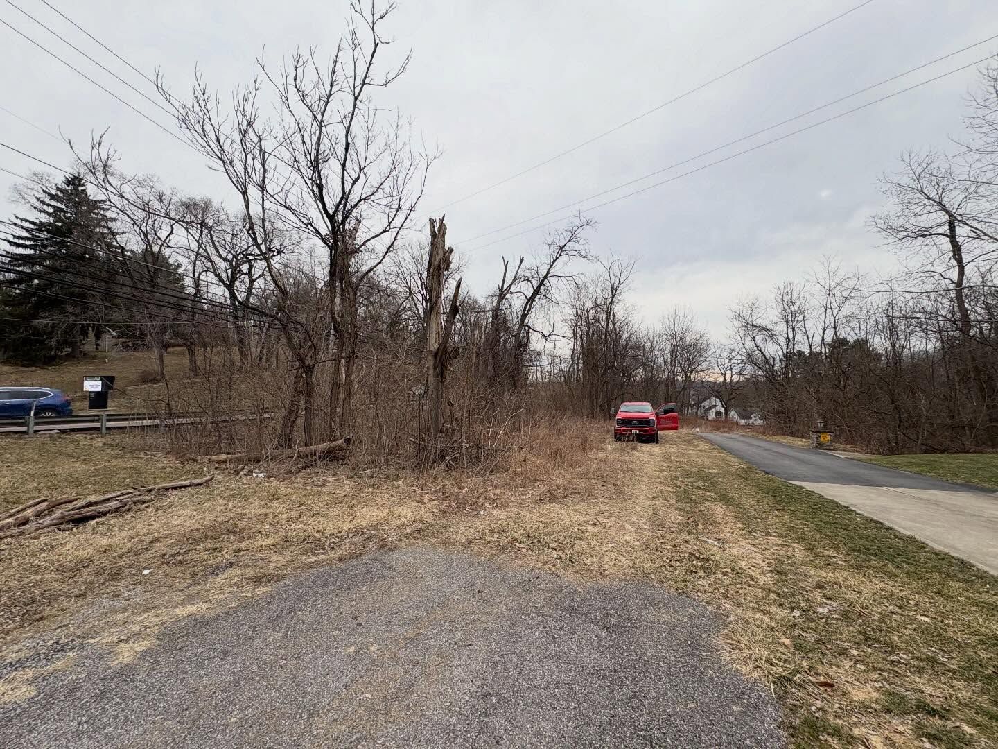Rural roadside with gravel shoulder, leafless trees, and a red car driving on a curving road