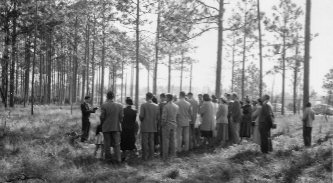 Group of people standing in a forest, listening to a man speaking. Sunlight streams through trees.