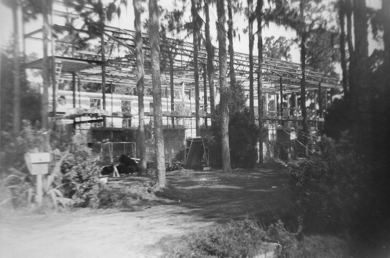 Two-story building under construction, skeletal frame visible amidst tall trees.