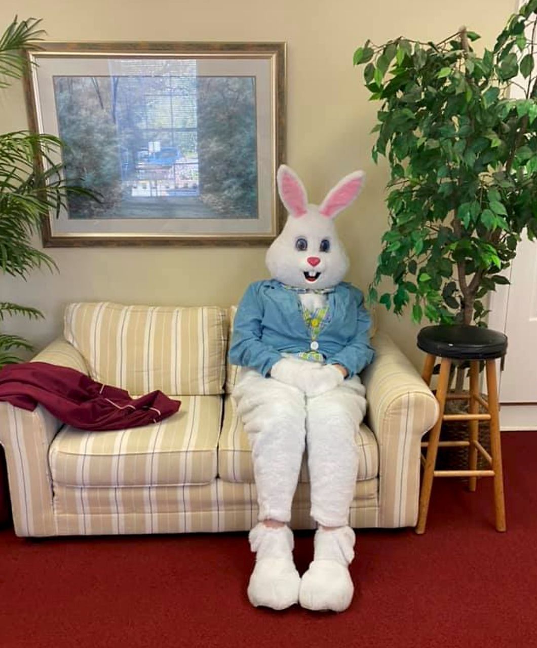 Easter Bunny in costume sits on a sofa, wearing blue jacket and white fur.