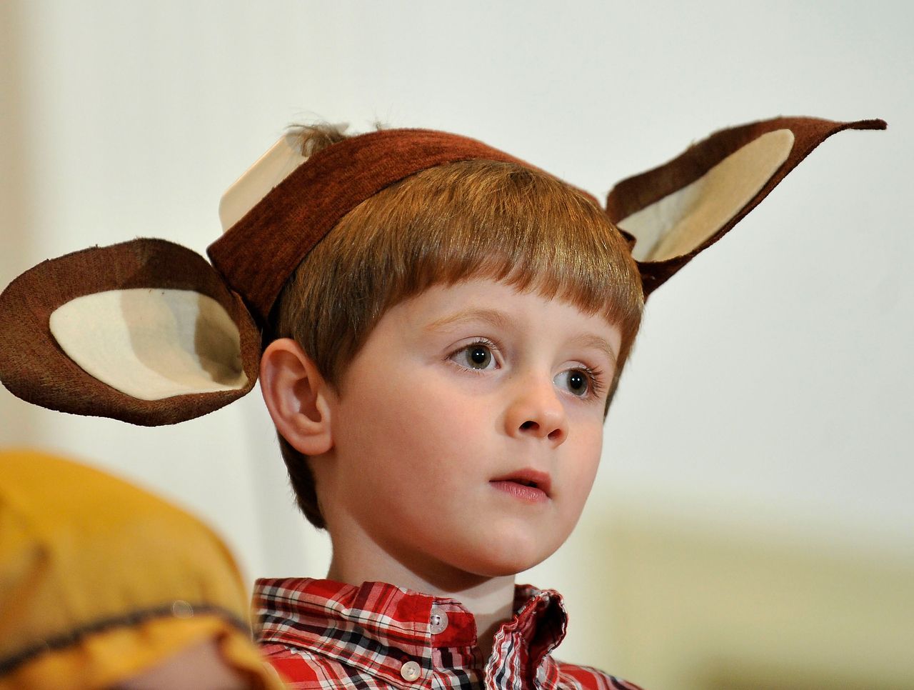 Young child with short brown hair wearing a brown and tan animal ears hat, looking slightly to the side.