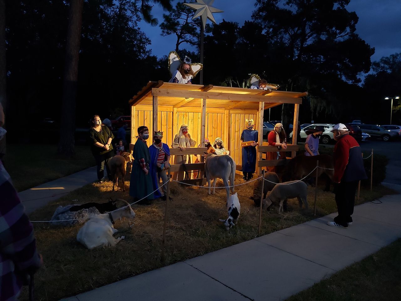 Nativity scene illuminated at night; figures of Mary, Joseph, animals, and onlookers gathered under a wooden shelter.