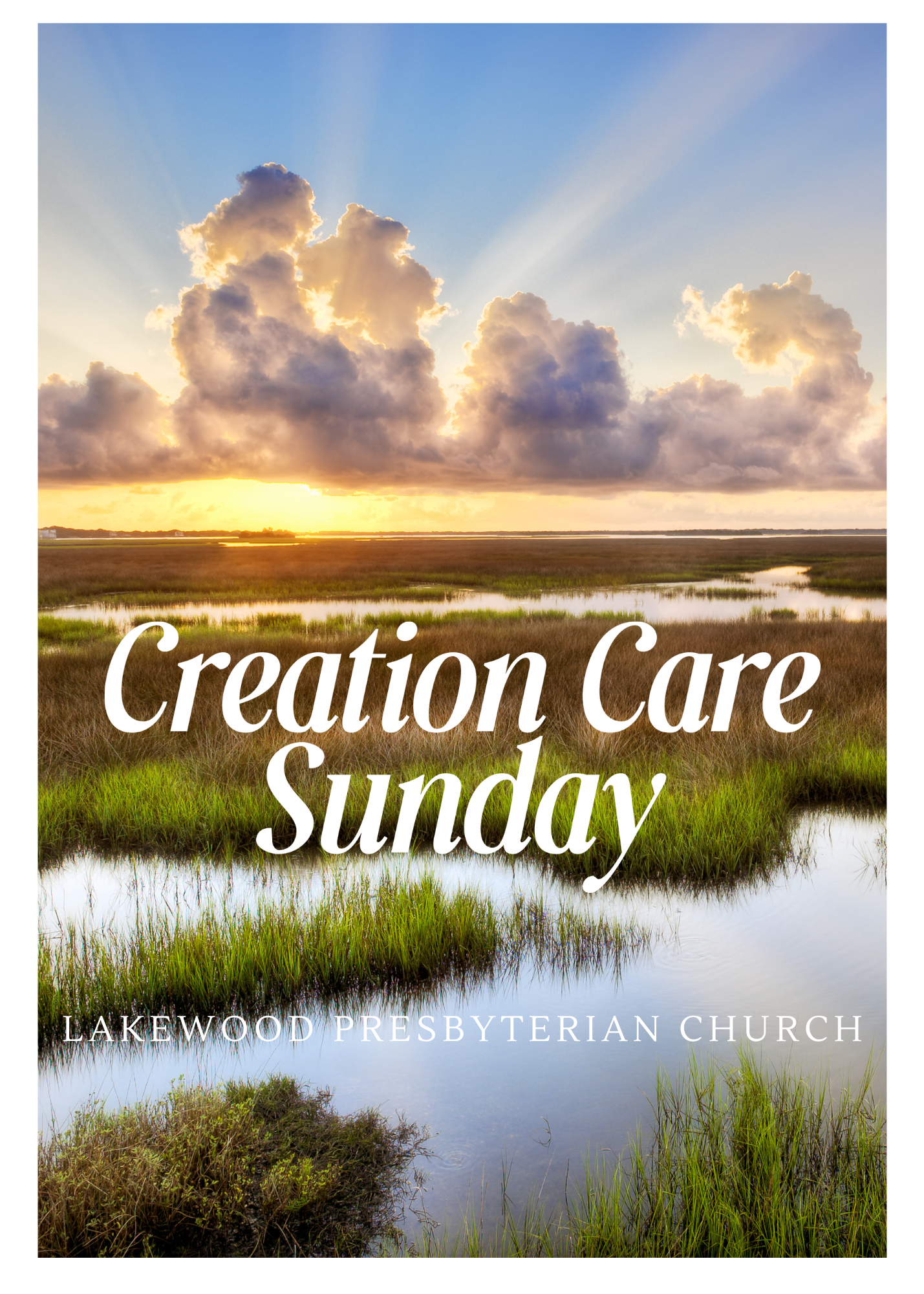 A sunny wetland landscape under a bright, cloud-filled sky. Text reads: