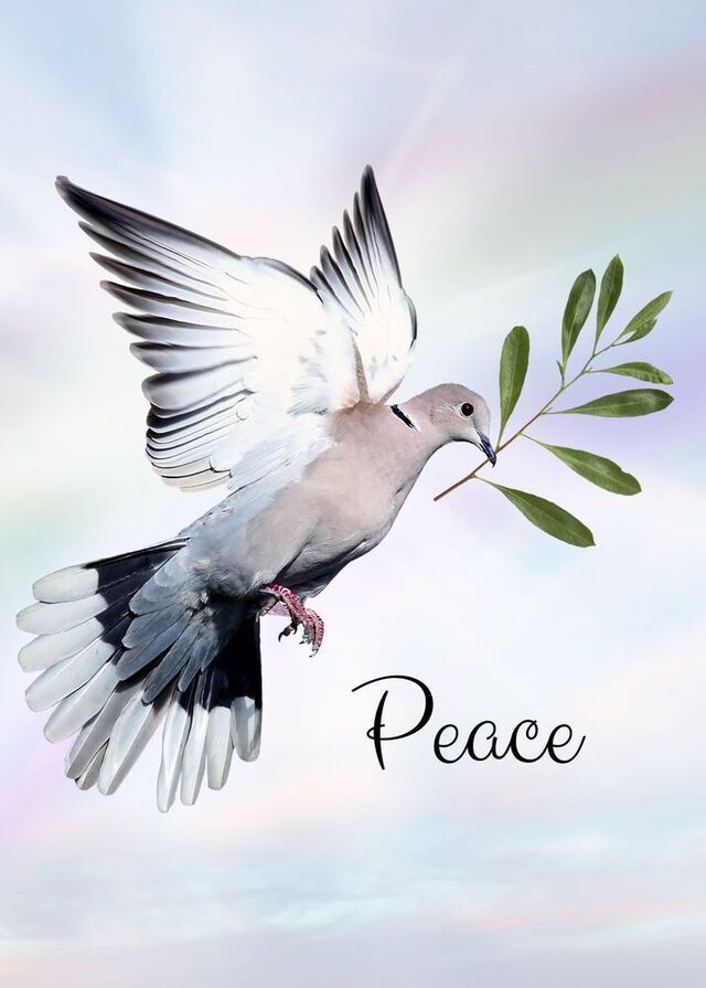 A dove in flight against a soft, colorful background, carrying an olive branch in its beak above the word