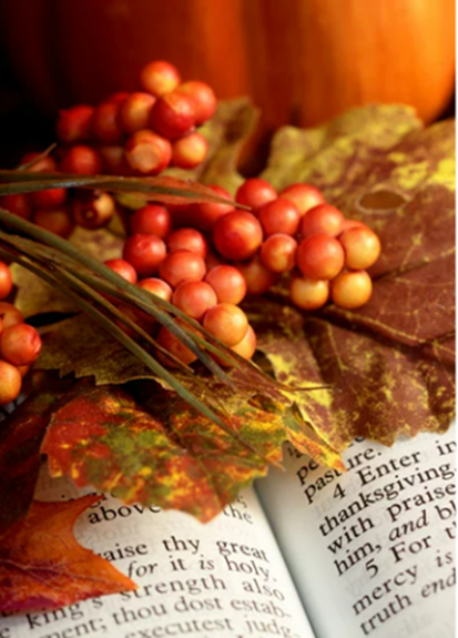 Autumn leaves and red berries resting on an open Bible, with a soft-focus pumpkin in the background.