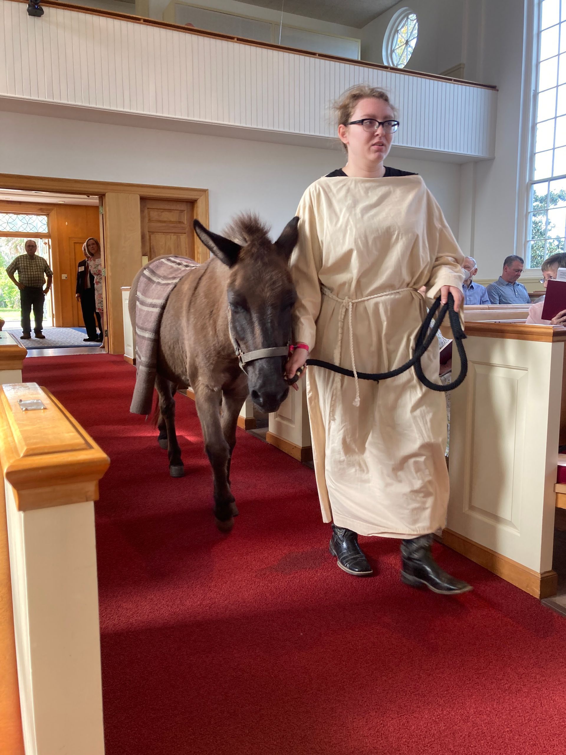 A woman leads a donkey down a church aisle. They are on a red carpet. The woman wears a cream robe.