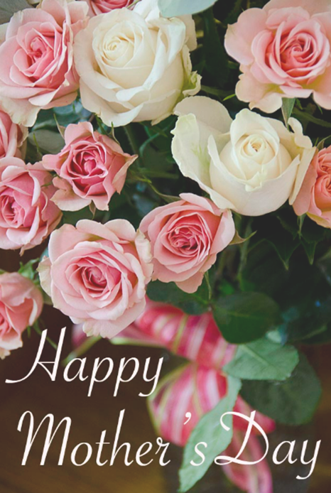 A bouquet of pink and white roses with a pink ribbon, captioned