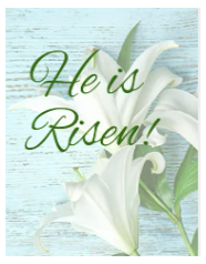 White Easter lilies against a light blue wooden background with the text
