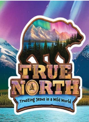 A bear silhouette filled with mountains, trees, and northern lights over the text
