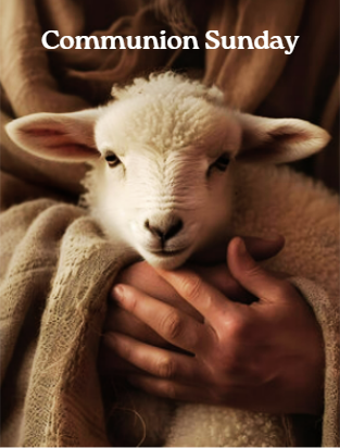 A white lamb held in someone's arms, with the words