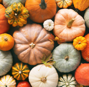 Assortment of pumpkins in various colors and sizes, autumnal arrangement.