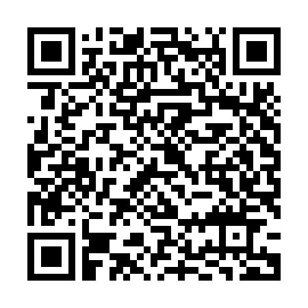 QR code: black and white pattern for digital data transfer.