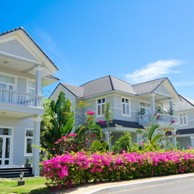 a row of white houses with pink flowers in front of them
