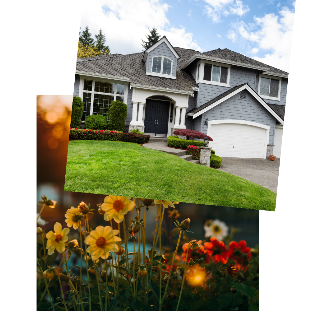 a picture of a house with flowers in front of it